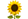 [sflower]